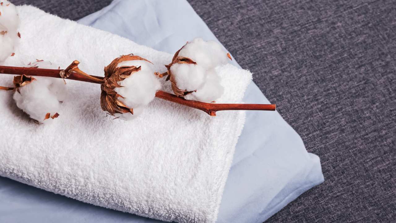 How to Make Towel Soft And Fluffy